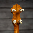 Vega M-Style Banjo
