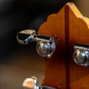 Vega Pete Seeger 5-string Banjo - Late '60s