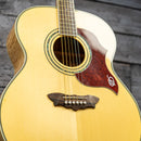 Washburn J28SDL