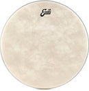 Evans EQ4 Calftone - 22"