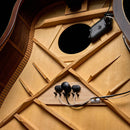 L.R. Baggs HiFi Duet