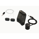 L.R. Baggs HiFi Duet