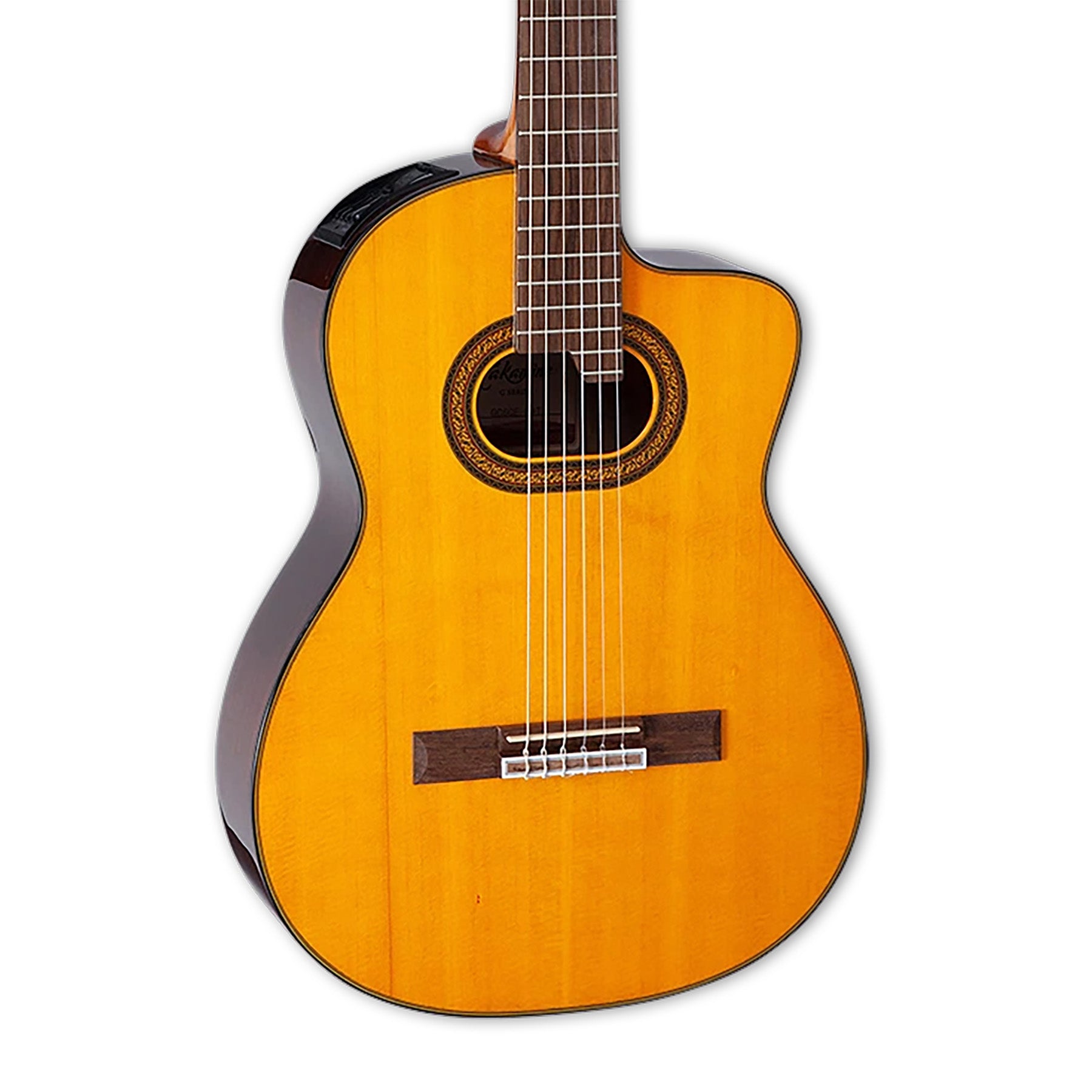 Acoustic Guitars | Takamine
