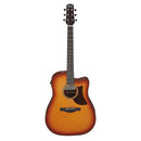 Ibanez Ibanez AAD50CE - Light Brown Sunburst