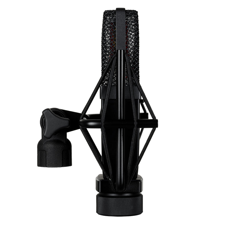 sE Electronics sE4400 Large Diaphragm Condenser Microphone