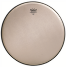 Remo Renaissance Ambassador, 16"