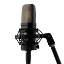 Warm Audio WA14 Condenser Microphone