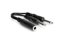 Hosa YPP-106 Y Cable, 1/4 in TSF to Dual 1/4 in TS