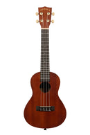 Kala MK-C Makala Concert Nickel Fret Update
