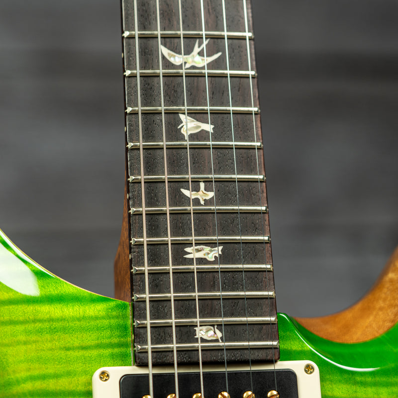 PRS Custom 24 Piezo - Eriza Verde 10-Top