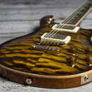 PRS Private Stock McCarty 594 - Tiger Eye Burst