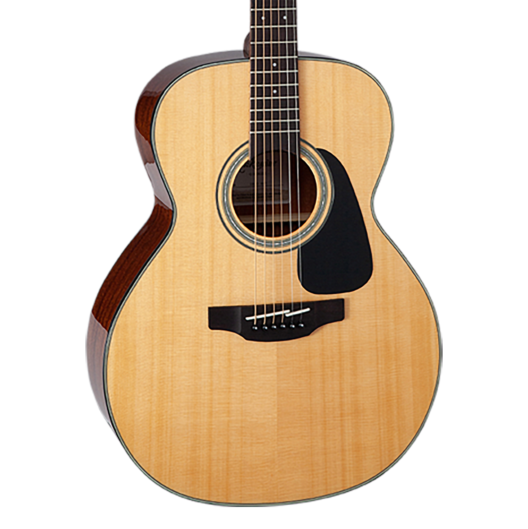 Acoustic Guitars | Takamine