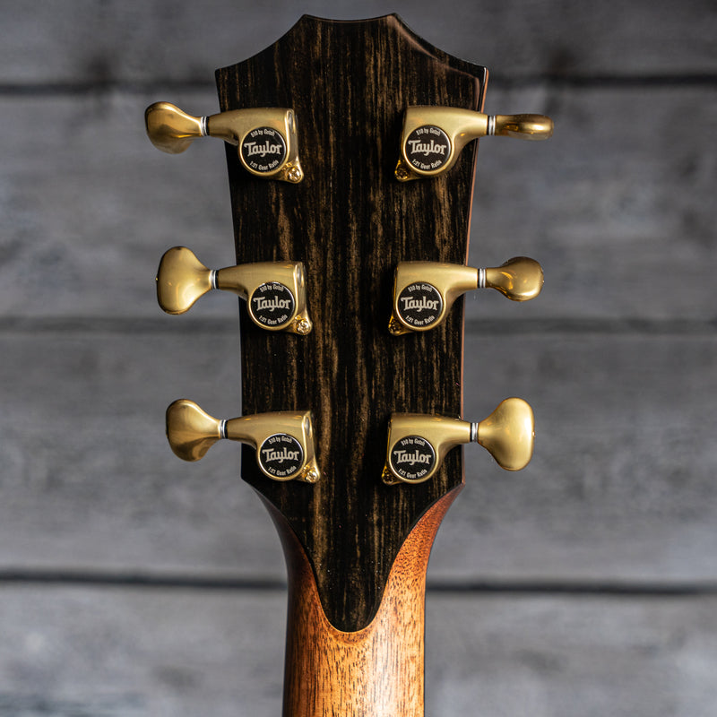 Taylor 914ce Grand Auditorium (2021)