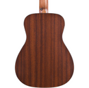 Martin LX1