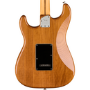 Fender American Professional II Stratocaster - Maple Fingerboard, Roasted Pine
