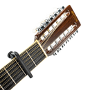 D'Addario Ns Capo Pro + Black