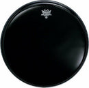 Remo Ebony Ambassador, 13"