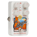 Electro-Harmonix Canyon Delay and Looper