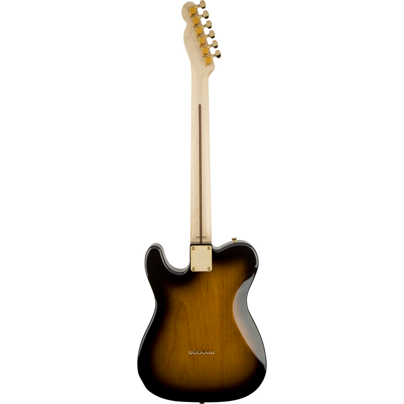 Fender Richie Kotzen Telecaster - Maple Fingerboard, Brown Sunburst