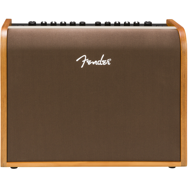 Fender Acoustic 100