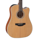 Takamine GD20CE - Natural Satin