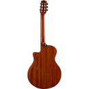 Yamaha NTX1 - Brown Sunburst