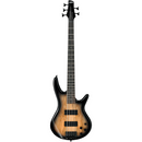Ibanez GIO GSR205SM - Natural Gray Burst