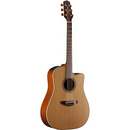 Takamine P3DC