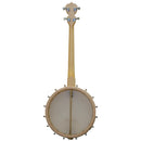 Deering Goodtime 17-Fret Tenor Openback Banjo