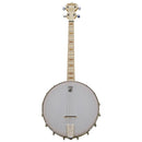 Deering Goodtime 17-Fret Tenor Openback Banjo
