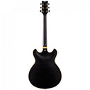Ibanez John Scofield Signature JSM20 - Black Low Gloss