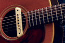 L.R. Baggs M1