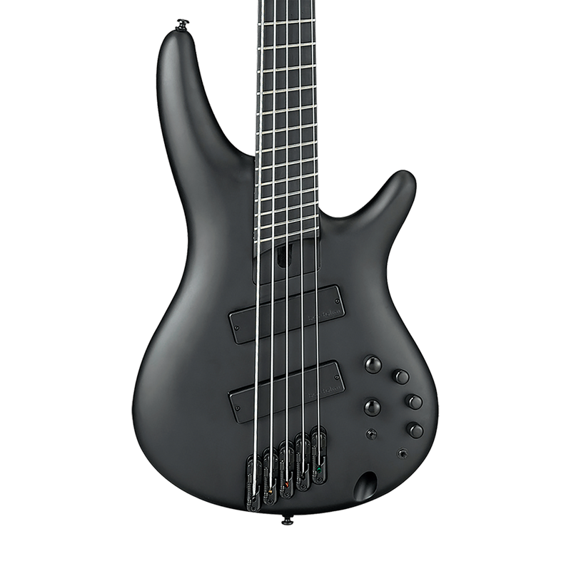 Ibanez SRMS625EX Iron Label 5 String Bass - Black Flat