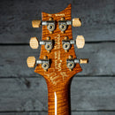 Paul Reed Smith Private Stock Special Semi-Hollow - Figured Redwood Smoke Burst