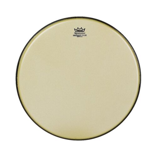 Remo Renaissance Ambassador, 18"