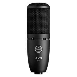 AKG P120 Studio Condenser Microphone