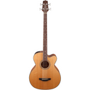 Takamine GB30CE Acoustic Bass - Natural