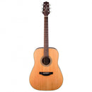 Takamine GD20 - Natural Satin