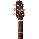 Takamine P4DC